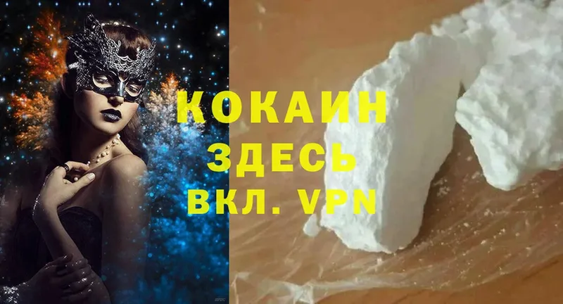 где купить   Будённовск  Cocaine Эквадор 